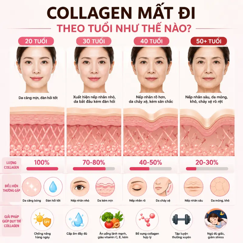 Collagen Mất Đi Theo Tuổi Như Thế Nào