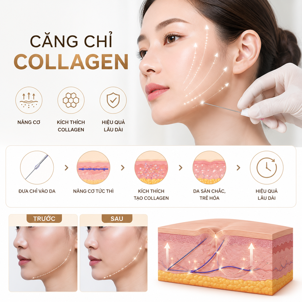 Collagen mất đi như thế nào sau tuổi 25